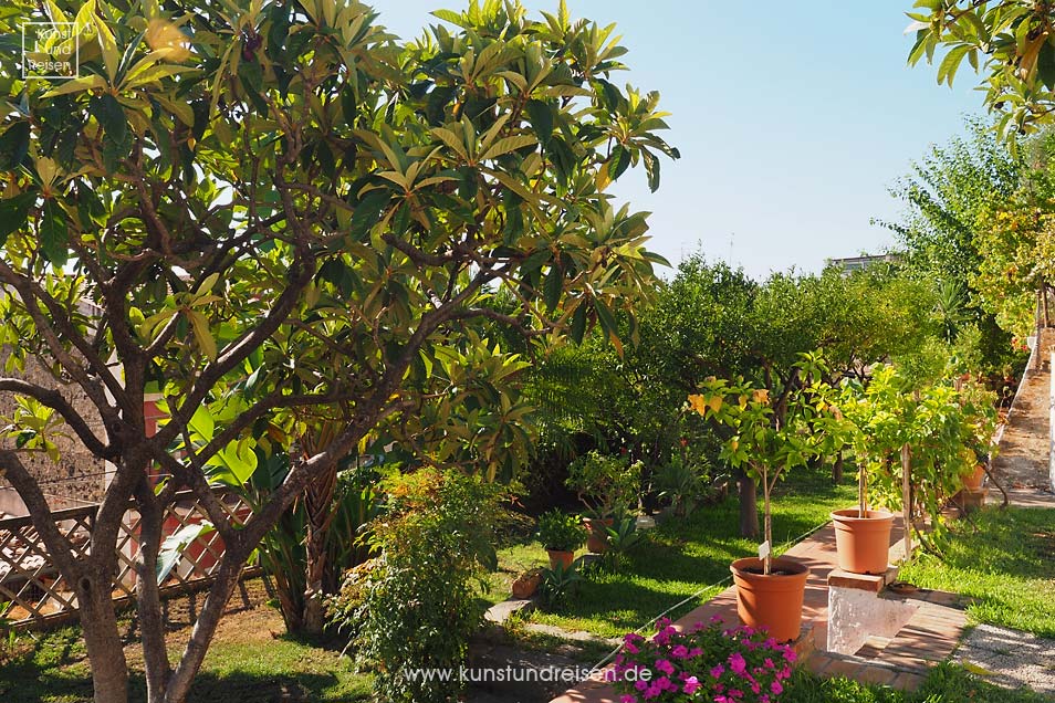 Zitrusbäume und Mispeln im Garten des Bed and Breakfast Villa Vittoria, Giardini Naxos