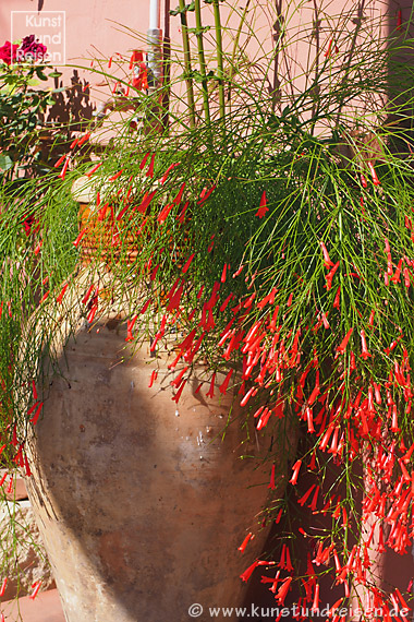 Giardini Naxos, Tontopf mit mediterraner Pflanze im B&B Villa Vittoria