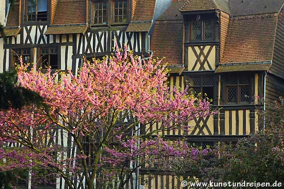Kirschblüten, Rouen