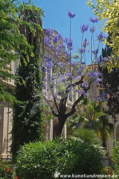 Cortile giardino, Monastero dei Bendettini - Catania