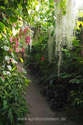 Tropisches Gewächshaus Botanischer Garten Leiden Niederlande