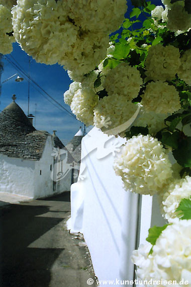 Aia Piccola, Alberobello - Puglia (8)