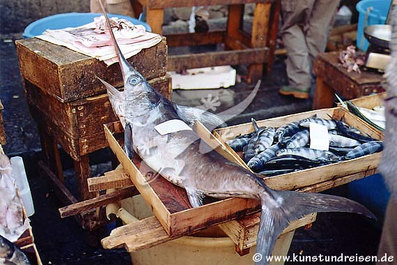 Pesce spada, Catania - Sicilia