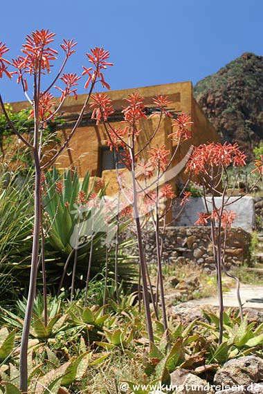 Panarea - Isole Eolie