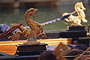 Veneto - Venezia: Gondole a Venezia, foto