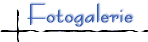 Fotogalerie