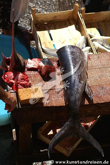 Schwertfisch, Fischmarkt - Catania