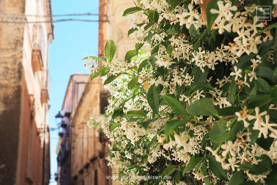 Altstadtgasse Jasmin Tropea