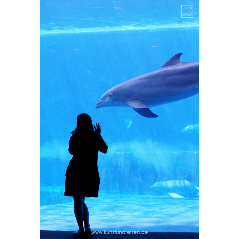 Delfinbecken Aquarium Genua