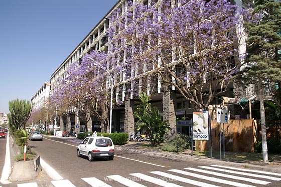 Corso Sicilia Catania Sizilien