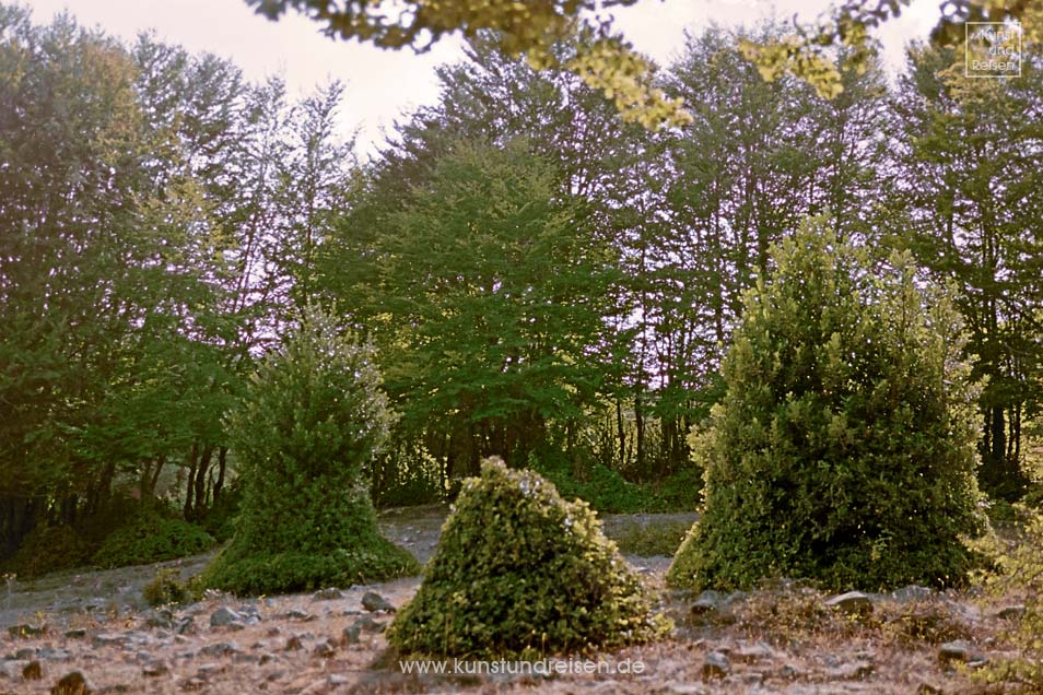 Stechpalmen im Parco dei Nebrodi Sizilien